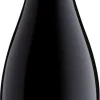 Errazuriz Aconcagua Cuvée Pinot Noir