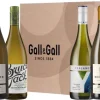 Wijnbox Bestsellers Sauvignon Blanc